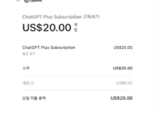 ChatGPT Plus 유료요금 사업자 VAT 면제 가격 $20