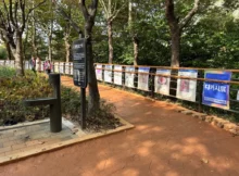 황톳길 맨발걷기: 중랑구 용마폭포공원 황톳길