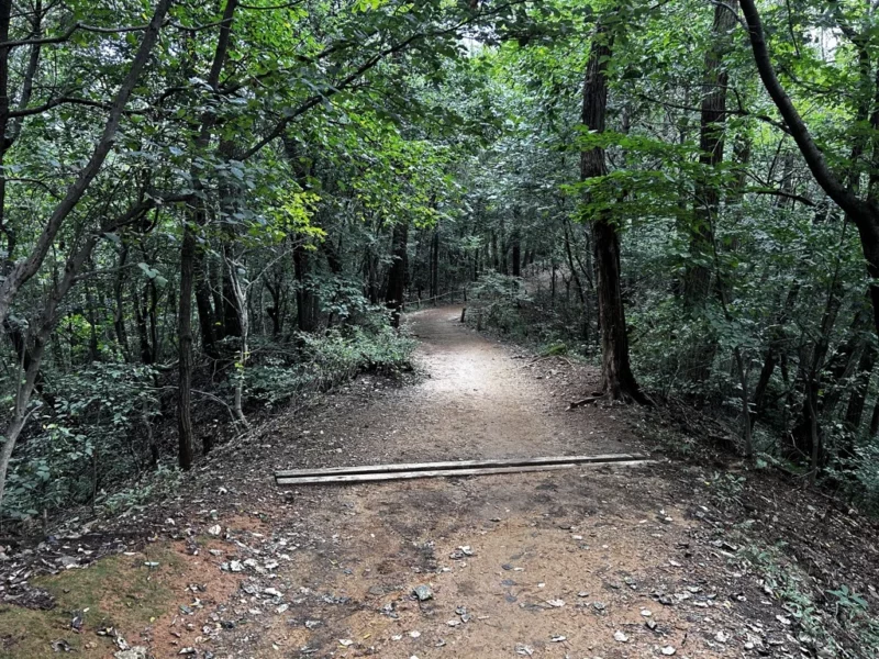 맨발걷기 좋은 곳: 까치산공원 - 인헌고교뒤 숲길 삼거리