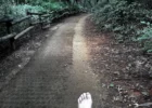 맨발걷기 좋은 곳: 까치산공원 - 인헌고교뒤 숲길 삼거리